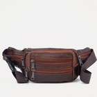 Поясная сумка на молнии, цвет коричневый - фото 9858036