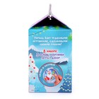 Набор для творчества «Новогоднее украшение на ёлку», 3 формы - фото 21681828