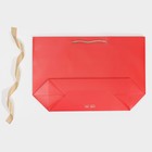 Пакет подарочный новогодний «Gift», 30 х 27.5 х 12 см 7705507 - фото 16673394