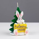 Свеча фигурная «Кролик с открыткой», 9х6 см, 45 г - Фото 3