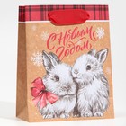 Пакет крафтовый вертикальный «Кролики», S 12 × 15 × 5.5 см - Фото 3