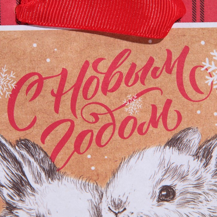 Зайцеобразные представители заяц русак. Rabbit s 1. Лапы зайца. Rabbit s 1. Бушменов заяц вымер.