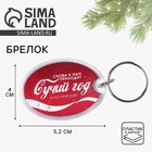 Брелок новогодний для ключей «Такой год», 5,2 х 4 см - Фото 1