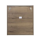 Зеркало шкаф для ванной комнаты Comforty «Никосия 70», 700×800 мм, цвет дуб тёмный - Фото 6