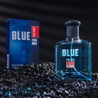Парфюмерная вода мужская "Red Label", "Blue", 100 мл - фото 1648937