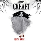Декор на хеллоуин «Скелет», МИКС - Фото 1