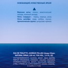 Туалетная вода мужская «Christine Lavoisier Parfums», «Giorgio Fellini L'Acqua Vitae», 100 мл - Фото 3