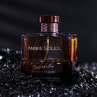 Туалетная вода мужская «Christine Lavoisier Parfums», «Giorgio Fellini Ambre Soleil», 100 мл - Фото 2