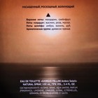 Туалетная вода мужская «Christine Lavoisier Parfums», «Giorgio Fellini Ambre Soleil», 100 мл - Фото 3