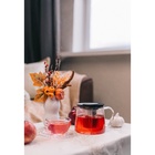 Заварочный чайник Magistro «Локи», 1 л, 17.5×13×12.5 см, металлическое сито, стекло - Фото 6