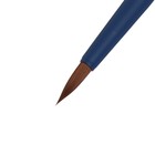Кисть для акварели, синтетика коричневая, круглая, Roubloff Aqua blue round №5, ручка короткая синяя, покрытие обоймы soft-touch - фото 24337973 Кисть для акварели, синтетика коричневая, круглая, Roubloff Aqua blue round №5, ручка короткая синяя, покрытие обоймы soft-touch - фото 24337973