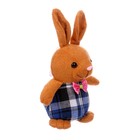 Мягкая игрушка «Зайчик», на присоске, виды МИКС (комплект 12 шт) - фото 21685306