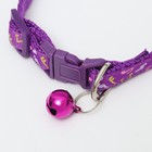 Ошейник двухслойный с фастексом "Музыка", 30 х 1 см, фиолетовый - фото 21685513