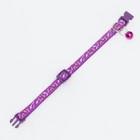 Ошейник двухслойный с фастексом "Музыка", 30 х 1 см, фиолетовый - фото 21685514