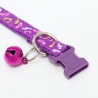 Ошейник двухслойный с фастексом "Музыка", 30 х 1 см, фиолетовый - фото 21685516