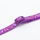 Ошейник двухслойный с фастексом "Музыка", 30 х 1 см, фиолетовый - фото 21685517