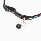 Ошейник двухслойный с фастексом «Сердечки» 30×1 см, чёрный - Фото 3