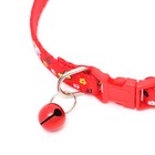 Ошейник двухслойный с фастексом "На прогулке" 30 х 1 см, красный - фото 21685560