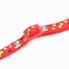 Ошейник двухслойный с фастексом "На прогулке" 30 х 1 см, красный - фото 21685564