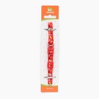 Ошейник двухслойный с фастексом "На прогулке" 30 х 1 см, красный - фото 22961066