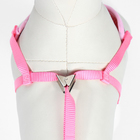 Комплект с мягкой шлейкой "Дэймон", размер S, поводок 120  х 1 см, розовый - Фото 8