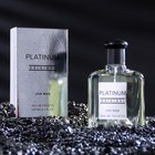 Туалетная вода мужская Platinum Original, 100 мл (по мотивам Egoiste Platinum (Chanel) - Фото 1