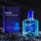 Туалетная вода мужская Colour ssncs Blu, 100 мл (по мотивам Blue Seduction (A.Banderas) - фото 318970750