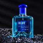 Туалетная вода мужская Colour ssncs Blu, 100 мл (по мотивам Blue Seduction (A.Banderas) 9148593 - фото 13788295
