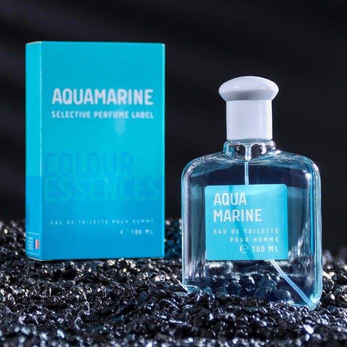 Туалетная вода мужская Colour essences Aquamarin, 100 мл (по мотивам Acqua Di Gio (G.Armani) - Фото 1
