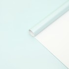 Бумага перламутровая, лазурная, 0,5 х 0,7 м (комплект 10 шт) - фото 50963834