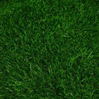 Газон искусственный, для спорта, ворс 40 мм, 1 × 2 м, зелёный, Greengo - фото 9496574