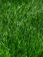 Газон искусственный, для спорта, ворс 50 мм, 1×2 м, зелёный, Greengo - Фото 9