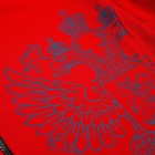 Толстовка на молнии President, размер S, цвет красный - фото 59794