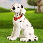 Садовая фигура "Собака Далматинец" 33см - фото 296410021