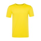 Футболка мужская, цвет жёлтый, размер 50 - фото 2758686