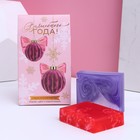 Подарочный набор косметики «Волшебного года!», мыло для рук 2 шт, аромат ягодного пудинга и миндаля, ЧИСТОЕ СЧАСТЬЕ - фото 9868659