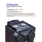 Акустическая система National NSM-V450, 120Вт, MP3/WMA/FLAC/WAV/APE/AAC, цвет чёрный - Фото 2