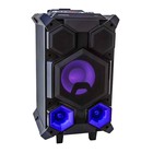 Акустическая система National NSM-V450, 120Вт, MP3/WMA/FLAC/WAV/APE/AAC, цвет чёрный - Фото 14