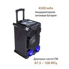Акустическая система National NSM-V450, 120Вт, MP3/WMA/FLAC/WAV/APE/AAC, цвет чёрный - Фото 7