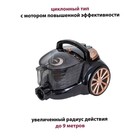 Пылесос Pioneer VC335C, циклонный, 2050Вт, 2 л, цвет чёрный-персиковый 9161601 - фото 55790