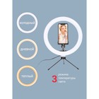 Светодиодная кольцевая лампа на штативе Pioneer SL-10410, 10" (26 см), 5Вт, 14-130 см - фото 51456287 Светодиодная кольцевая лампа на штативе Pioneer SL-10410, 10" (26 см), 5Вт, 14-130 см - фото 51456287