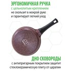 Сковорода Fusion FP2201L, с крышкой, антипригарное покрытие, d=22 см, цвет коричневый - Фото 2