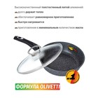 Сковорода Olivetti FP126LD, с крышкой, антипригарное покрытие, d=26 см, h=7 см - Фото 2