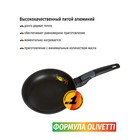 Сковорода Olivetti FP524D, без крышки, антипригарное покрытие, индукция, d=24 см - Фото 2