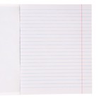 Тетрадь в линейку 24 листа, 4 вида МИКС, обложка мелованный картон, «Минни Маус» - Фото 2