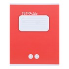 Тетрадь 12 листов в крупную клетку Calligrata "Однотонная Классика", обложка мелованный картон, блок офсет, белизна 95%, МИКС 7770398