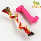Набор игрушек для средних собак "Кость (16 см) и канат (90-100 г)", розовая - фото 9869014