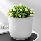 Кашпо для цветов со вставкой «Линель», 4.5 л, d=19 см, h=19 см, пластик, белое - Фото 4