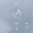 Кашпо для цветов со вставкой «Линель», 4.5 л, d=19 см, h=19 см, прозрачное - Фото 5