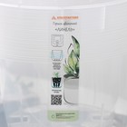 Кашпо для цветов со вставкой «Линель», 4.5 л, d=19 см, h=19 см, прозрачное - Фото 7